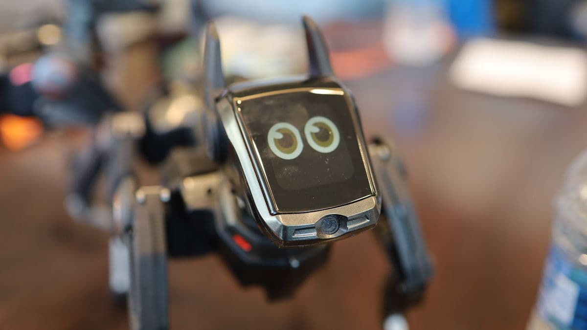 The Hengbot Sirius: A Cautionary Tale of AI Hype Over Substance