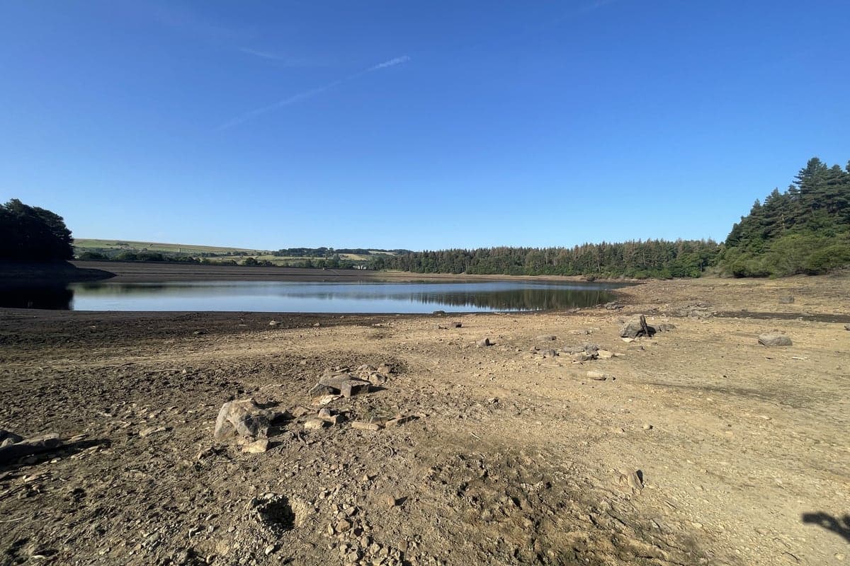 Yorkshire Water Lifts Hosepipe Ban: Climate Resilience Wins