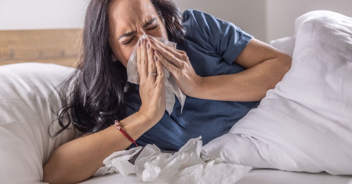 Anti-Allergy Bedding: A Consumer Health Analysis