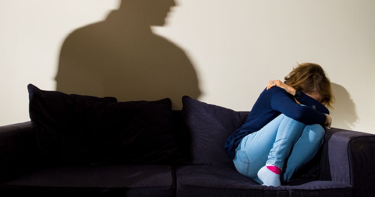 A Quiet Revolution in the Courts: Tracking Domestic Abuse Perpetrators