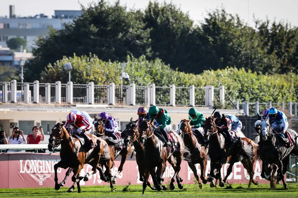 The Arc's Identity Crisis: Tradition, Breeding, and the Case for Change