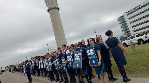 When Travel Insurance Fails: The WestJet Strike and the Limits of Consumer Protection