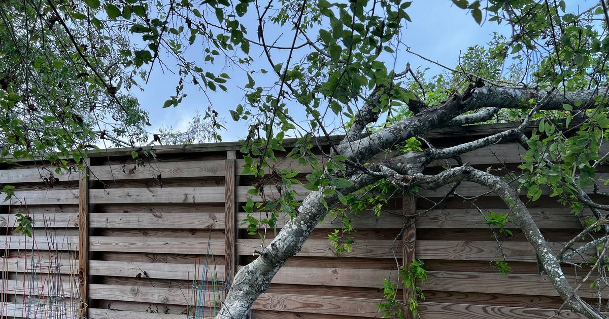 Who pays for a storm-damaged fence? The law explained